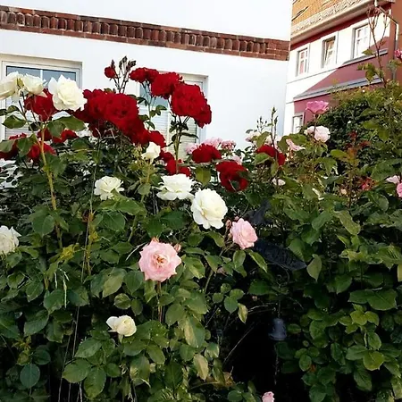 Haus Am Markt ساغارد